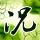 网红“馆长”：台湾就是中国的一部分